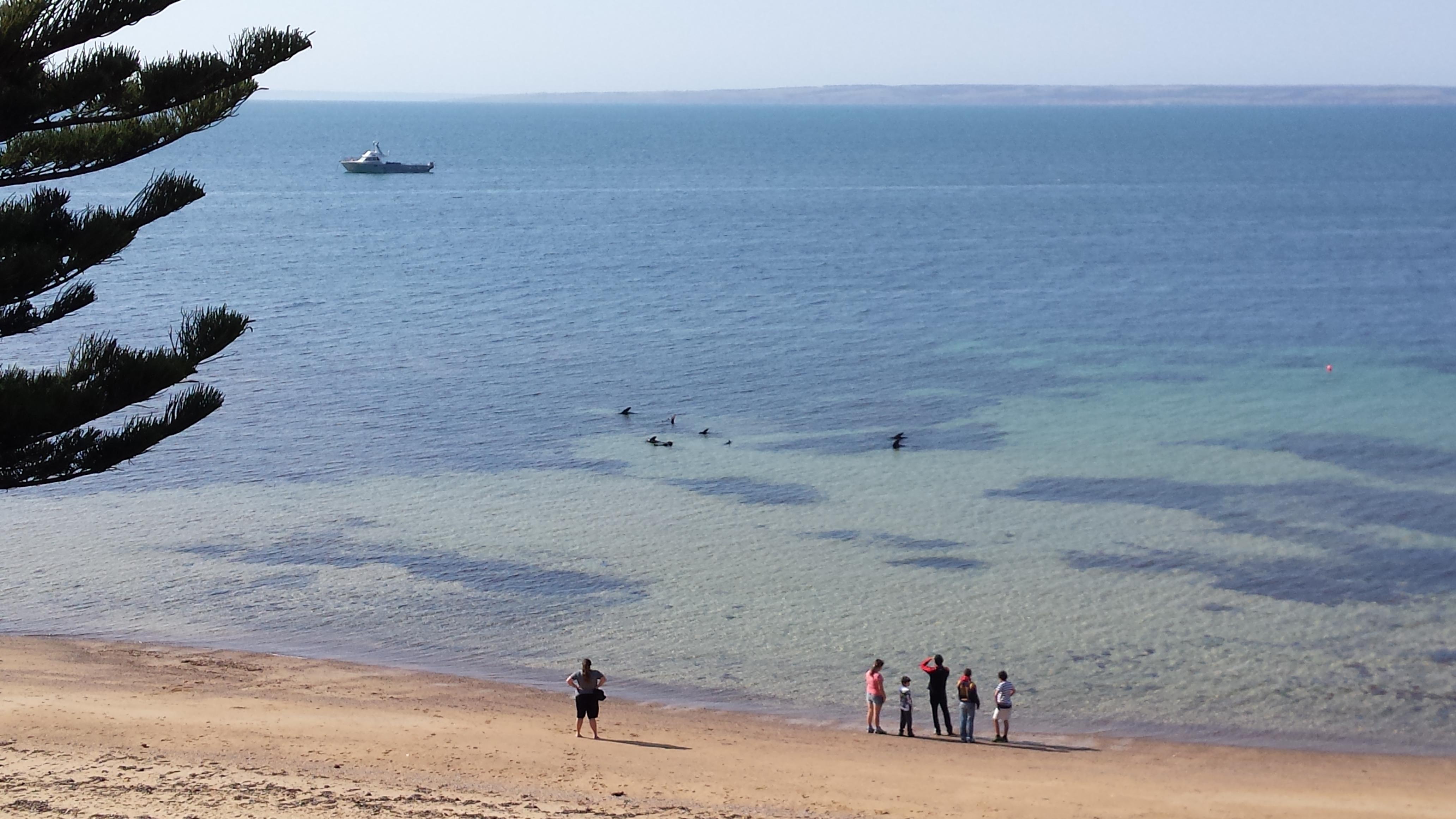 Aurora Ozone Hotel Kangaroo Island Kingscote Εξωτερικό φωτογραφία
